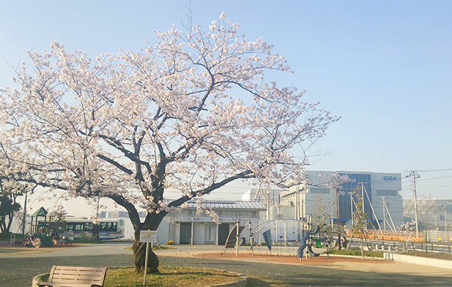 下河原公園画像