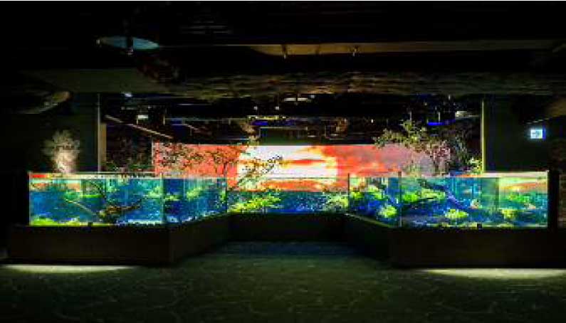 Kawasui Kawasaki Aquarium