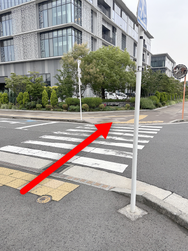 横断歩道の写真