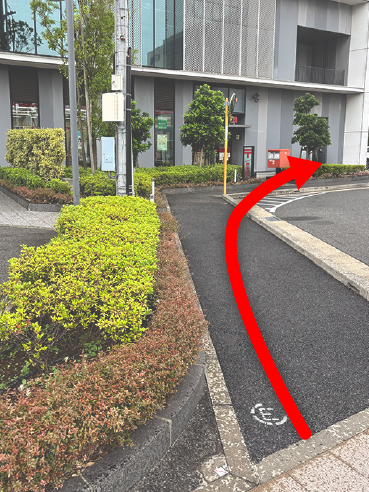 左手に低木がある歩道沿いの写真