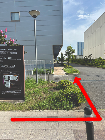左手に芝生のある歩道の写真