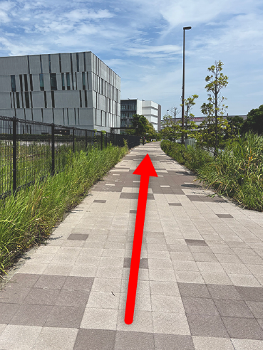 左手にフェンスがある歩道の写真
